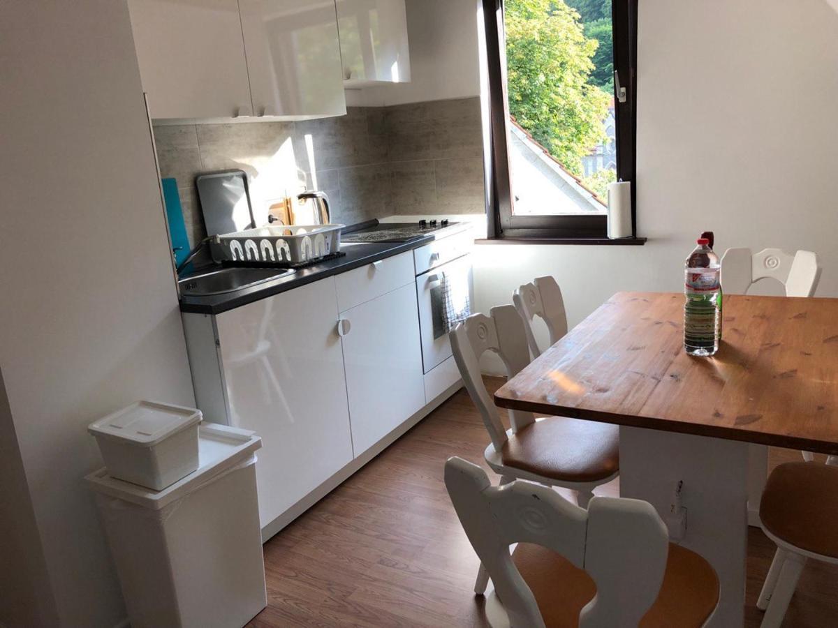 Zorge Ferienhaus Art Apartment - Harz מראה חיצוני תמונה
