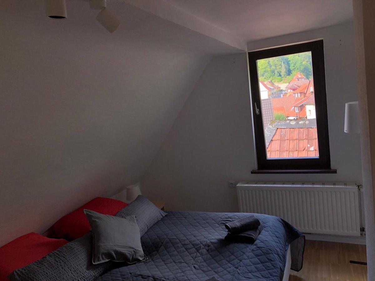 Zorge Ferienhaus Art Apartment - Harz מראה חיצוני תמונה