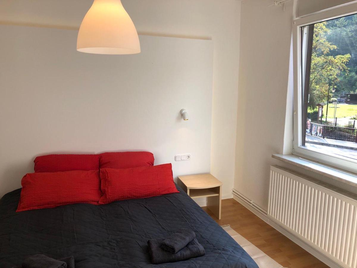 Zorge Ferienhaus Art Apartment - Harz מראה חיצוני תמונה