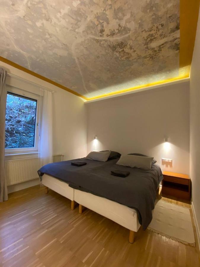 Zorge Ferienhaus Art Apartment - Harz מראה חיצוני תמונה