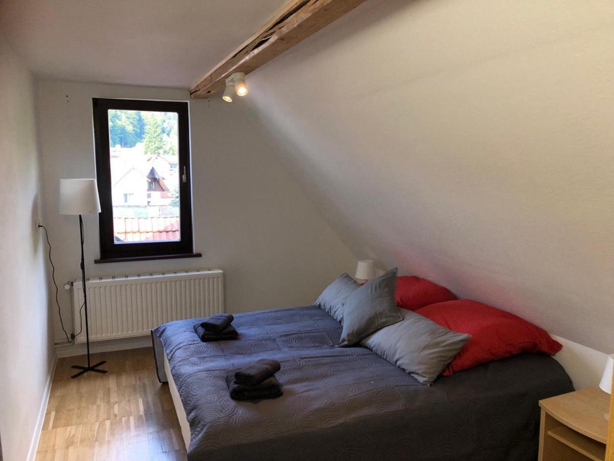Zorge Ferienhaus Art Apartment - Harz מראה חיצוני תמונה
