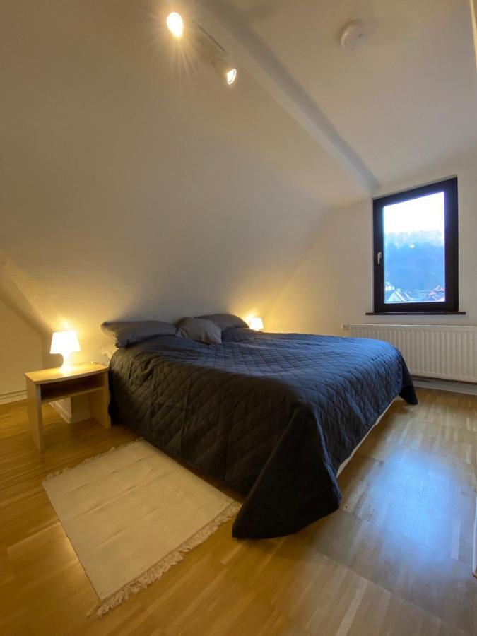 Zorge Ferienhaus Art Apartment - Harz מראה חיצוני תמונה