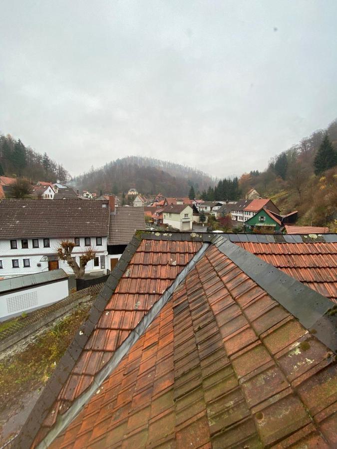 Zorge Ferienhaus Art Apartment - Harz מראה חיצוני תמונה