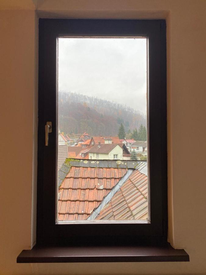 Zorge Ferienhaus Art Apartment - Harz מראה חיצוני תמונה