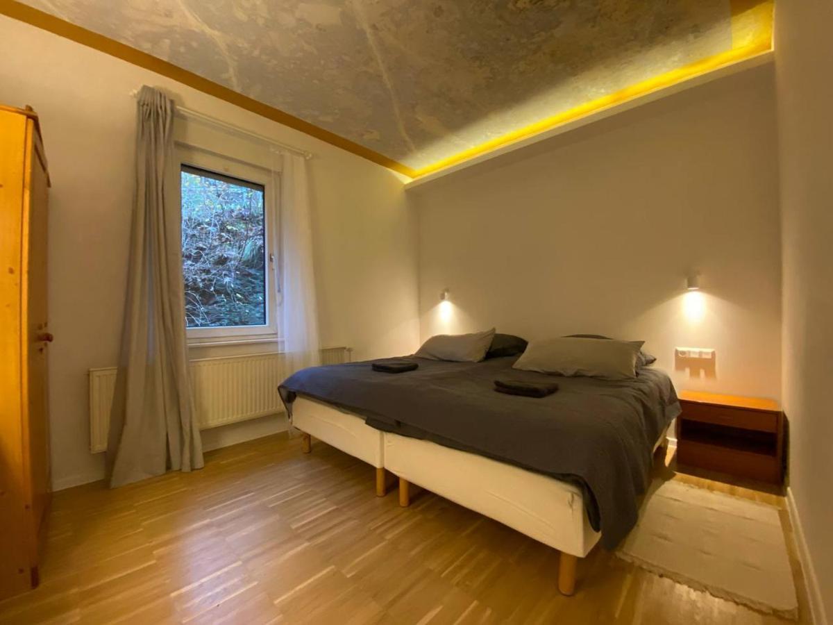 Zorge Ferienhaus Art Apartment - Harz מראה חיצוני תמונה