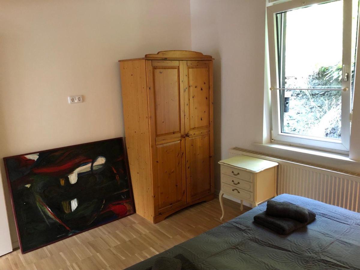 Zorge Ferienhaus Art Apartment - Harz מראה חיצוני תמונה