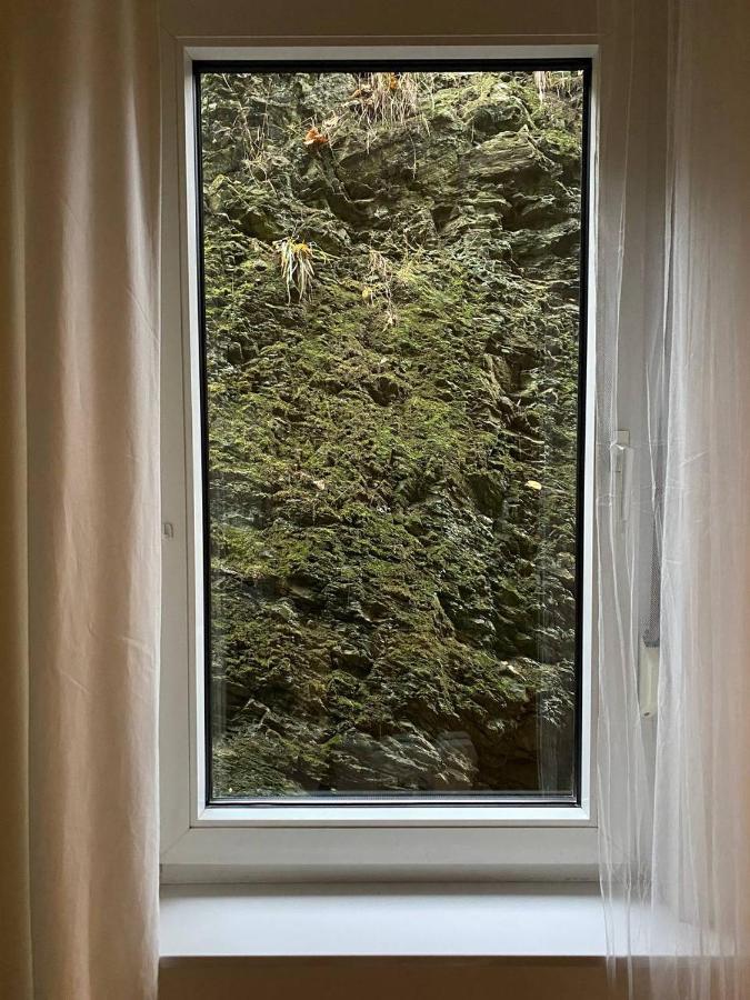 Zorge Ferienhaus Art Apartment - Harz מראה חיצוני תמונה
